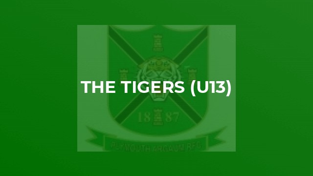 The Tigers (U13)