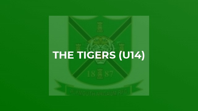 The Tigers (U14)