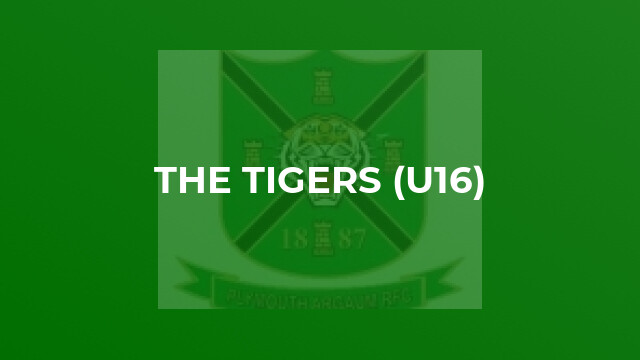 The Tigers (u16)