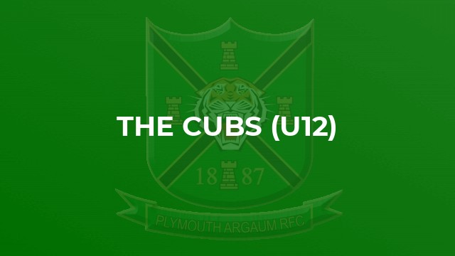 The Cubs (u12)
