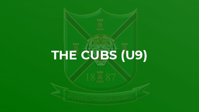 The Cubs (u9)