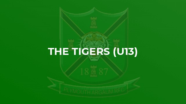 The Tigers (U13)