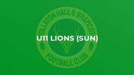 U11 Lions (Sun)