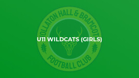 U11 Wildcats (Girls)