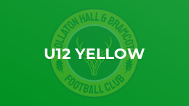 U12 Yellow