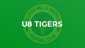 U8 Tigers