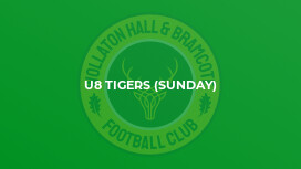 U8 Tigers (Sunday)