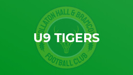 U9 Tigers