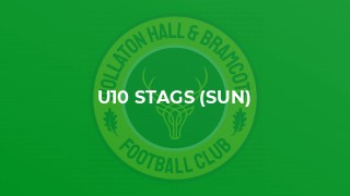 U10 Stags (Sun)