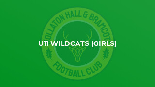 U11 Wildcats (Girls)