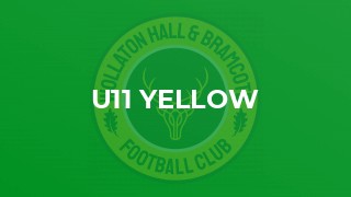 U11 Yellow