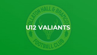 U12 Valiants