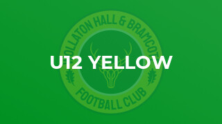 U12 Yellow