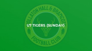 U7 Tigers (Sunday)