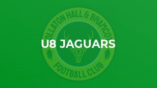 U8 Jaguars