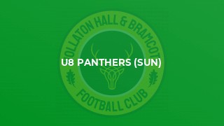 U8 Panthers (Sun)