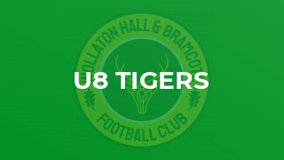 U8 Tigers