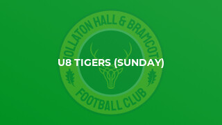 U8 Tigers (Sunday)