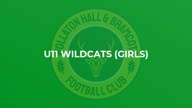 U11 Wildcats (Girls)