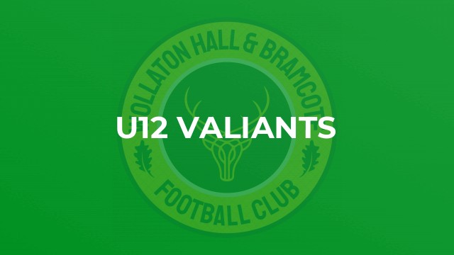 U12 Valiants