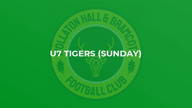 U7 Tigers (Sunday)