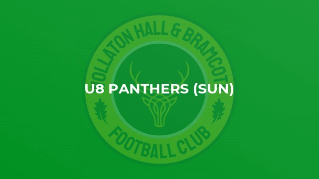 U8 Panthers (Sun)