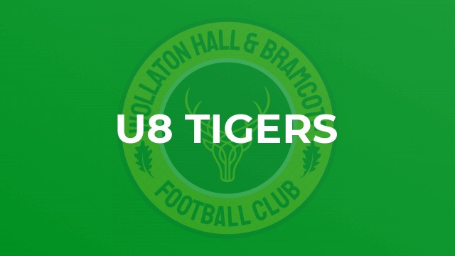 U8 Tigers