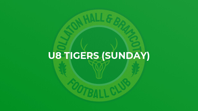 U8 Tigers (Sunday)