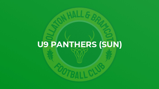U9 Panthers (Sun)