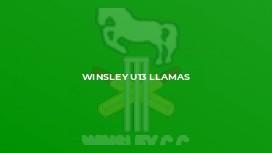 Winsley u13 Llamas