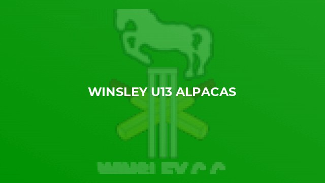 Winsley u13 Alpacas