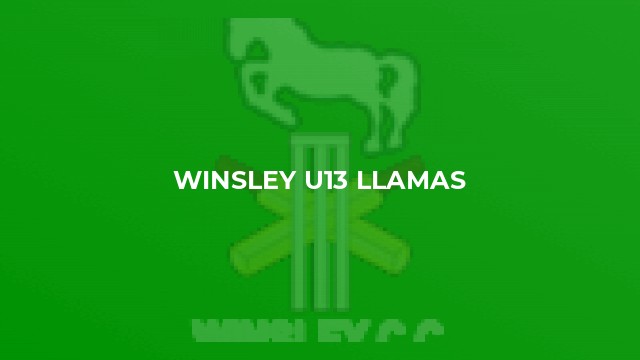 Winsley u13 Llamas