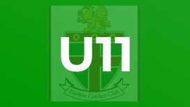 U11