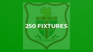 250 Fixtures