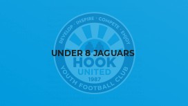 Under 8 Jaguars