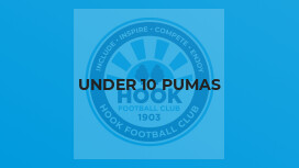 Under 10 Pumas