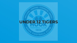 Under 12 Tigers