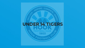 Under 14 Tigers