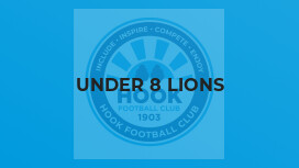 Under 8 Lions