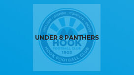 Under 8 Panthers