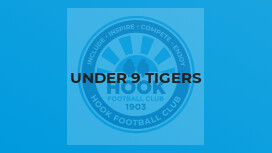 Under 9 Tigers