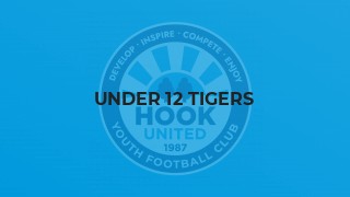 Under 12 Tigers
