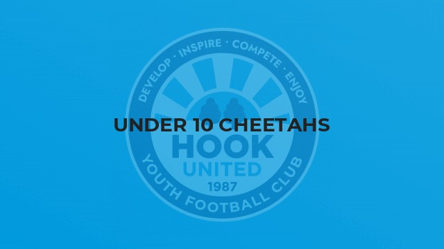 Under 10 Cheetahs