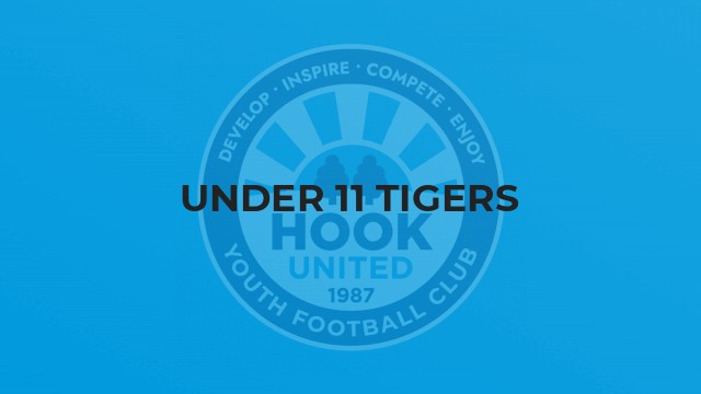 Under 11 Tigers