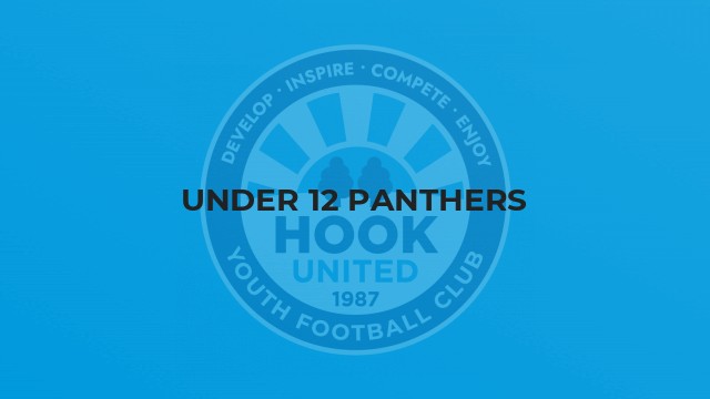 Under 12 Panthers