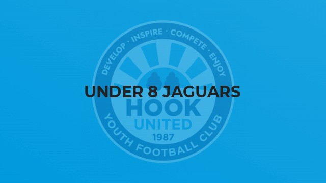 Under 8 Jaguars