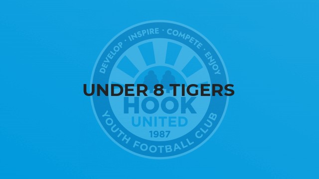 Under 8 Tigers