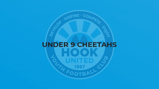 Under 9 Cheetahs