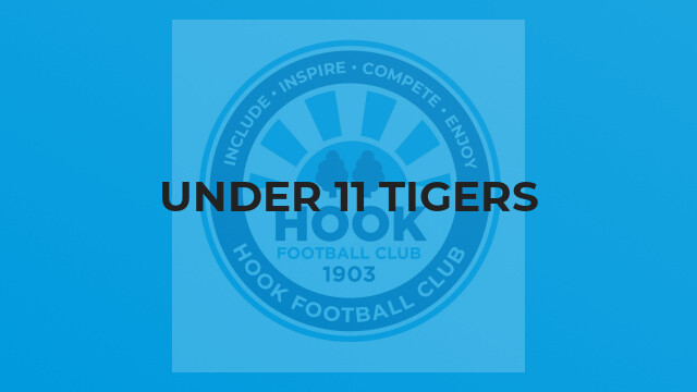 Under 11 Tigers