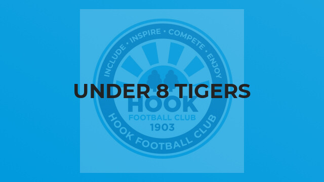 Under 8 Tigers